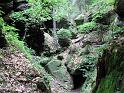 2010-06-12, Uttewalder Grund (42)